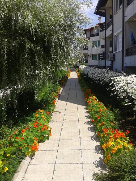 Caprice In Lozenec קיטן